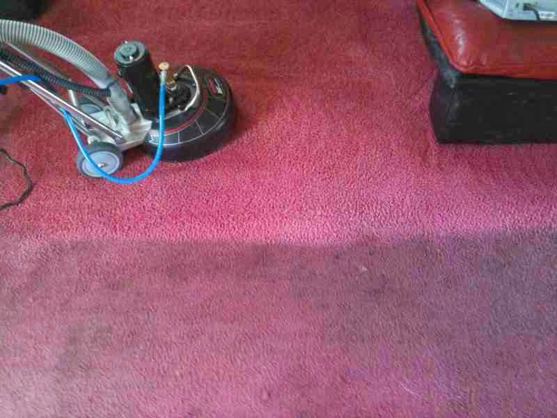 Pet odor carpet restoration
